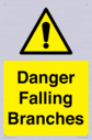 danger-falling-branches~